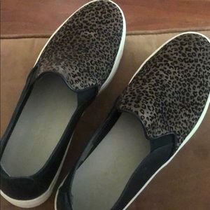 The Flexx leapord print sneaker